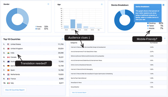 MonsterInsights